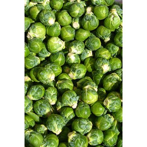 Brussels Sprouts (Fresh)