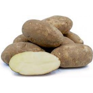 Potatoes - Russet ( Fresh)