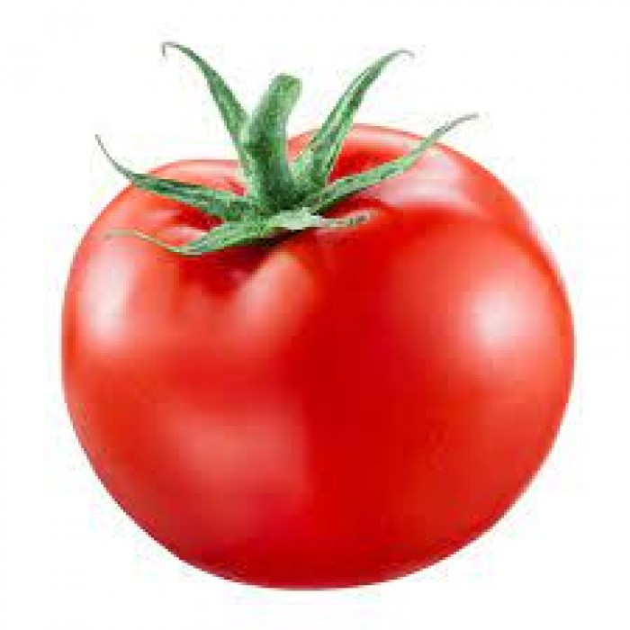 Tomato (Fresh)