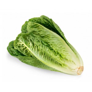 Lettuce - Romaine (Fresh)
